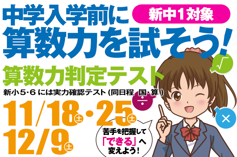 算数力判定テスト