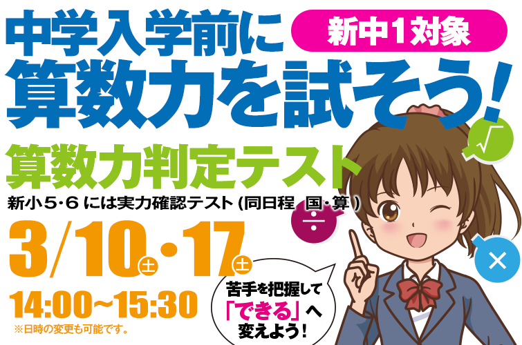 算数力判定テスト